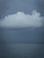 The Island