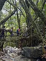 Matériaux d'hier et de demain
