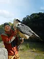 Kielings wilde Welt: Vogelparadiese