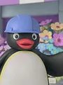 Pingu in de stad S1 E2
