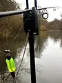 Carpes en hiver