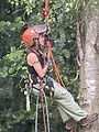 Les aventureuses