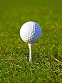 Golf : Open de St. Louis