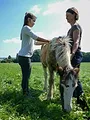 Anna und die Haustiere