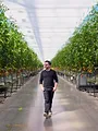Petite histoire du futur