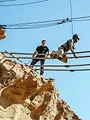 SAS : Qui ose gagne