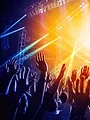 Tomorrowland : le best of