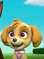 Pat' Patrouille S4 E2