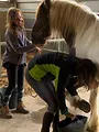 Au galop ! Une saison à cheval