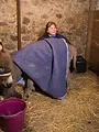 L'incroyable Dr Pol