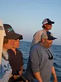 Baby Sharks in the City