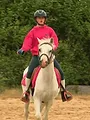 Au galop ! Une saison à cheval