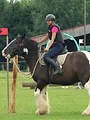 Au galop !