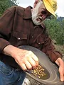 Alaska : La ruée vers l'or