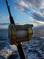 Label Pêche aux Glénans