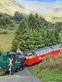 Zahnrad, Dampf und Hochgebirge - Die Brienz-Rothorn-Bahn
