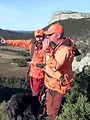 Les sangliers du Mazet