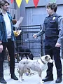 Animal Control S1 E9