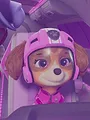 Paw Patrol S11 E9