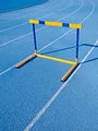 Athlétisme : Championnats du monde en salle