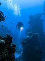 A la recherche des sous-marins perdus