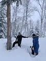 Alaska : nouvelle vie