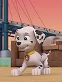 Paw Patrol S10 E18