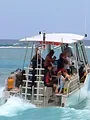 Moorea, l'île aux requins citrons