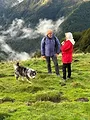 Chroniques d'en haut