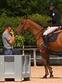 Au galop ! Une saison à cheval