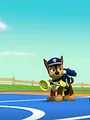 Paw Patrol S2 E8