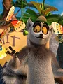 Roi Julian ! L'élu des lémurs S3 E8