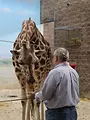 Au coeur du zoo de New York