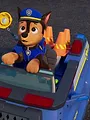 Paw Patrol S12 E10