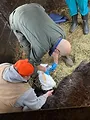 L'incroyable Dr Pol