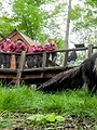 Elefant, Tiger & Kids
