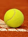 Tennis : Roland-Garros