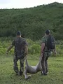 Nouvelle-Calédonie terre de chasse