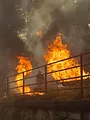 Phoenix S1 E6