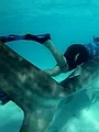 Pêche XXL