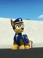 Paw Patrol S1 E8