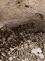 Josh Gates et les trésors perdus