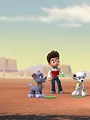 Paw Patrol S3 E14