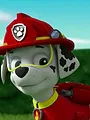 Paw Patrol S7 E5