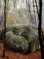 Waldviertel - Vom Zauber des rauen Landes