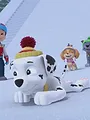 Paw Patrol S11 E2
