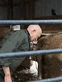 L'incroyable Dr Pol