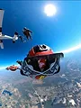 Sur le vif : vidéos insolites
