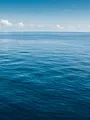 Op zee gebleven