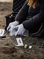 Crimes